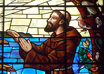 Close-up of Saint Francis in a stained glass window July 2010